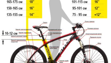 Photo of Преимущества выбора дешёвых велосипедов